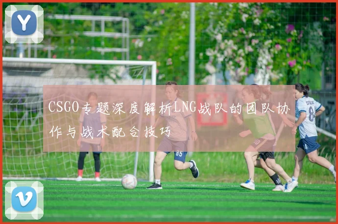 CSGO专题深度解析LNG战队的团队协作与战术配合技巧