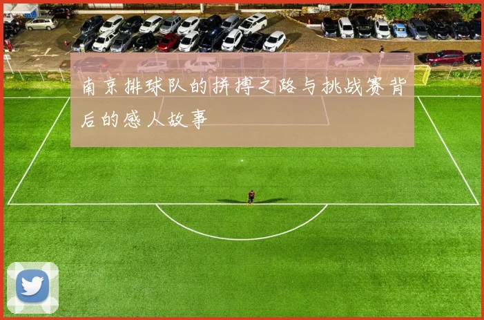 南京排球队的拼搏之路与挑战赛背后的感人故事